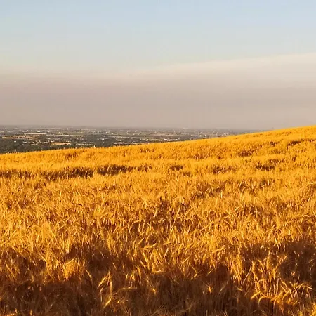 And Breakfast San Rafel Konukevi 4*