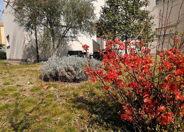 And Breakfast San Rafel Vendégház