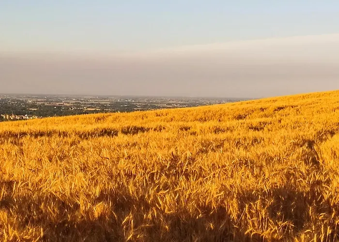 And Breakfast San Rafel بيت ضيافة 4*