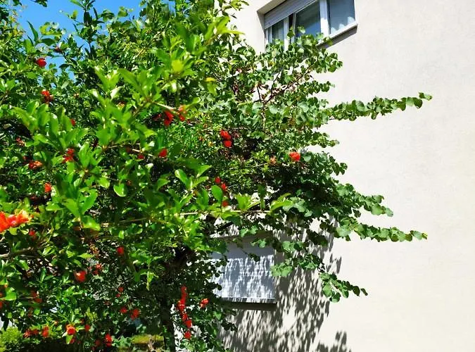 بيت ضيافة And Breakfast San Rafel بولونيا