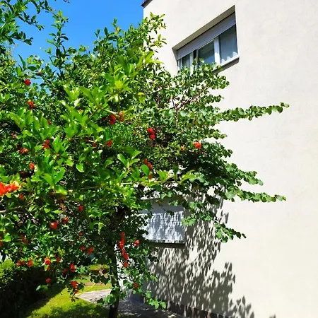 Guest house And Breakfast San Rafel Bologna
